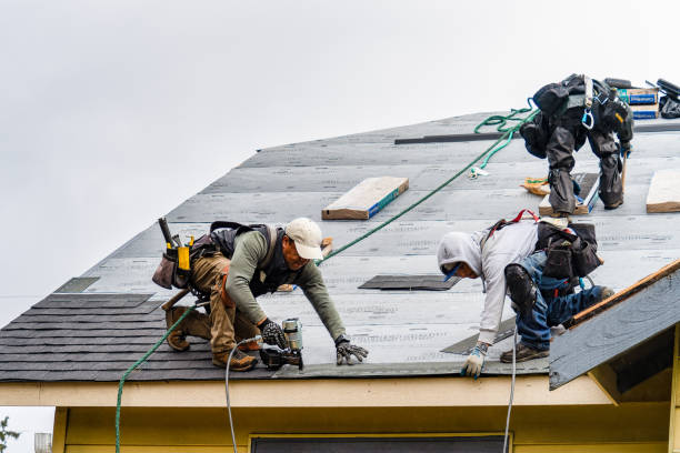 Professional Roof Installation technician working in Lolita, TX